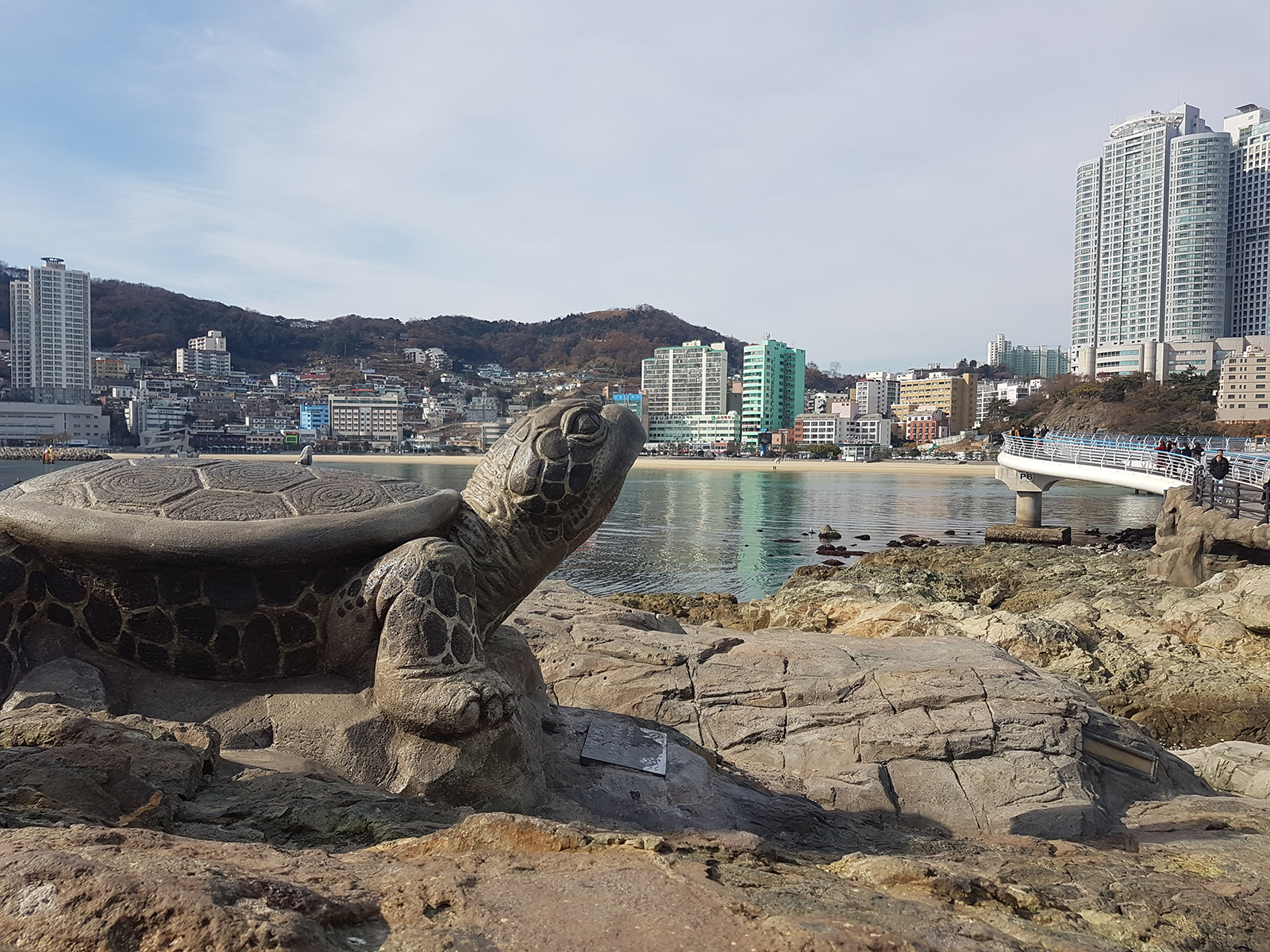 turtle_skywalk_busan