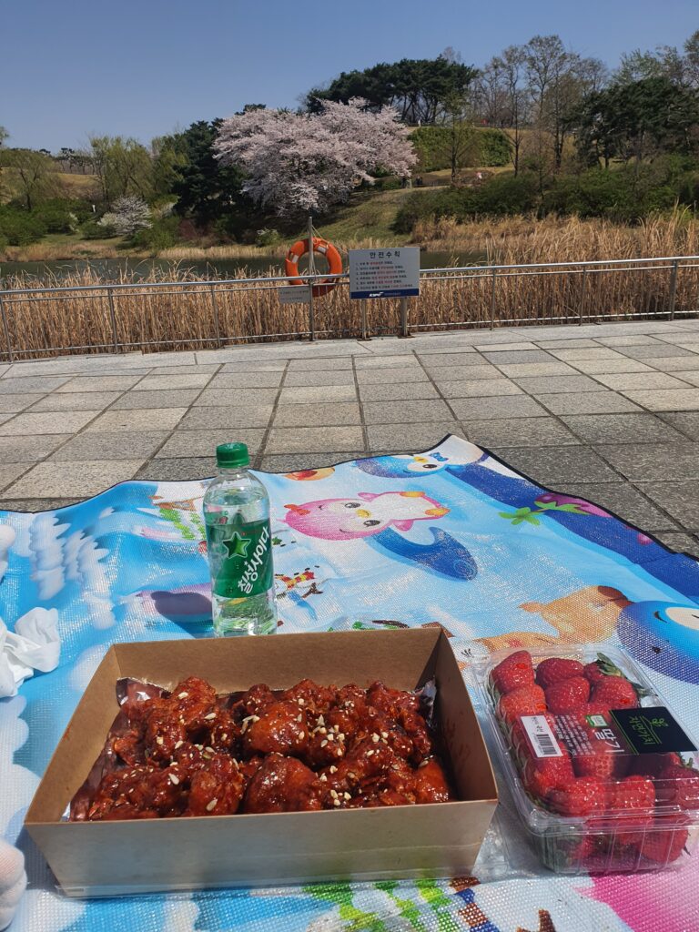 picnic at olympic park