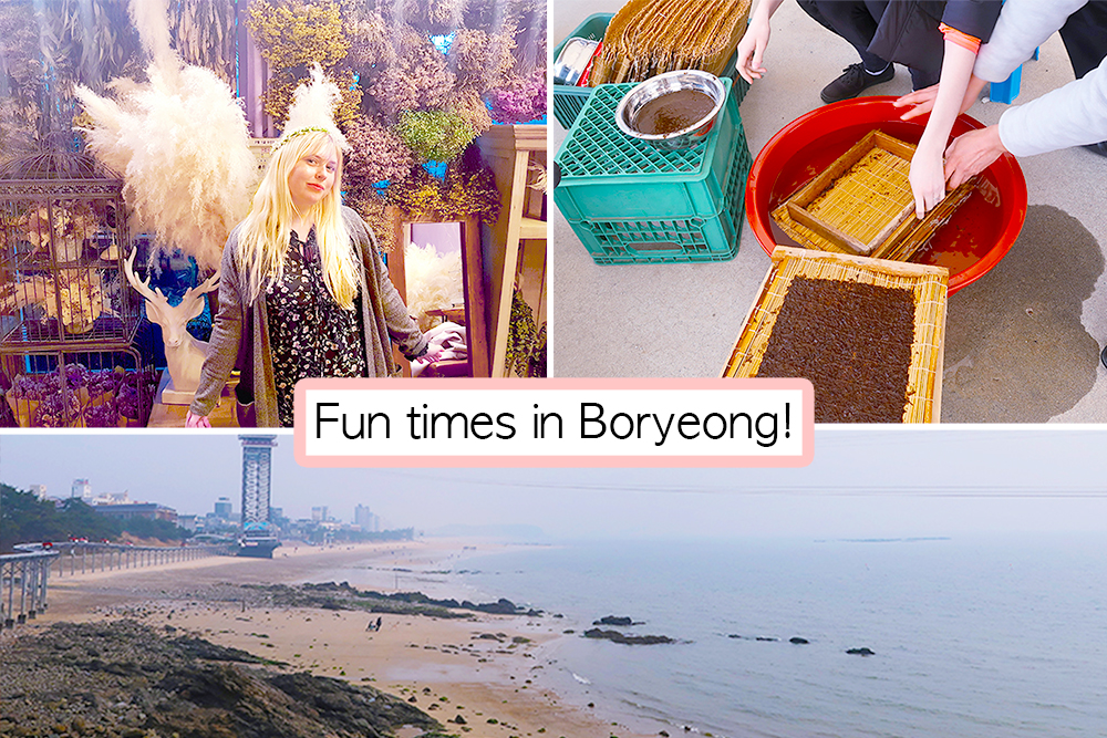 My trip to Boryeong – Making Kim, digging for shellfish at the mudflats and more!